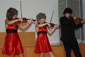 fiolinfamilie ,musikk instrument ,musiker ,klassisk musikk ,fiolist.